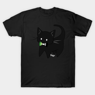 Aro Pride Kitty T-Shirt